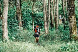 BIB: 
                            <button type="button" onclick="openModal(25237000)" class="btn btn-primary btn-sm float-right btn-popup" data-toggle="modal" data-target=".modal-high-quality">
                        <i class="fas fa-shopping-cart"></i> Add to Cart
                    </button>
                                            <button type="button" onclick="isThisMe(25237000, true)" class="btn btn-success btn-sm float-right btn-popup btn-isme hidden" data-toggle="tooltip" data-placement="bottom" title="นี่คือรูปของคุณใช่ไหม คลิกที่นี่เพื่อเอาเข้าอัลบั้ม">
                        <i class="fas fa-plus"></i> Add to album
                    </button>
                    <button type="button" onclick="isThisMe(25237000, false)" class="btn btn-warning btn-sm float-right btn-popup btn-isnotme hidden">
                        <i class="fas fa-ban"></i> Remove from album
                    </button>